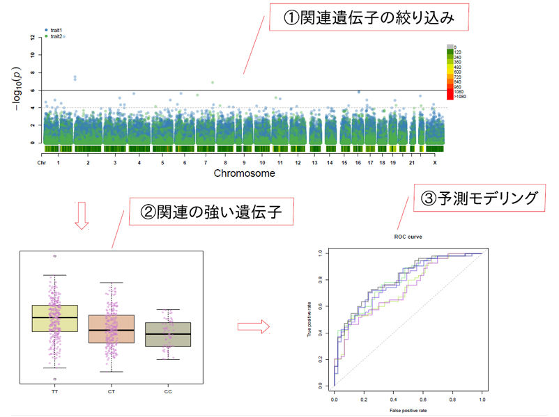 科学の知識とデータを共に活かす研究